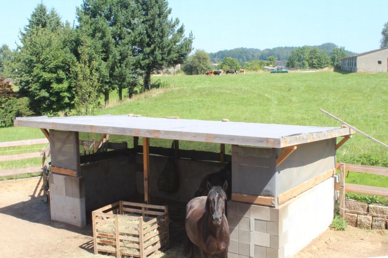 Ferienwohnung Feldblick Struppen Zewnętrze zdjęcie
